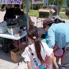 【土日祝日限定】金魚すくいやります！！(残り少なくなってきています)