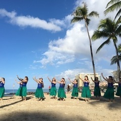 🌺新規クラスオープン🌺の画像