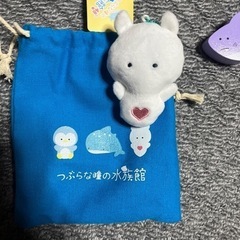 つぶらな瞳の水族館　積み木　ぬいぐるみの画像
