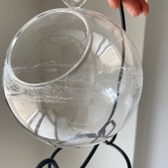 水槽　インテリア　ガラスの画像