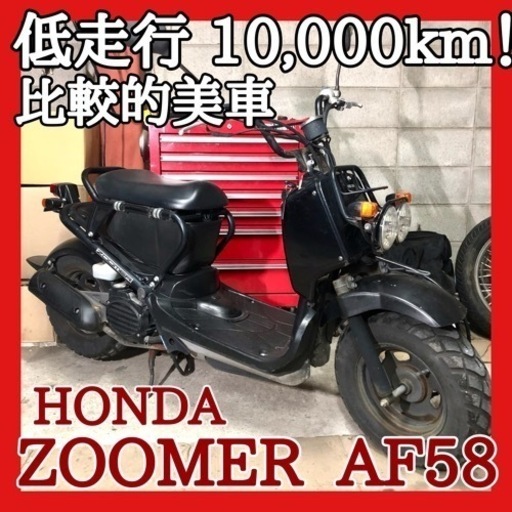 ☆ホンダ ズーマー AF58☆低走行な個体入庫しました！このまま純正も良し.カスタムベースにももってこいです！是非ご検討下さい！