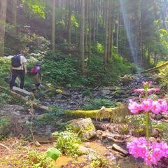 沢歩きませんか