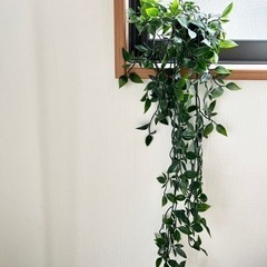 FEJKA フェイカ 人工観葉植物 つり下げ型9 cmの画像
