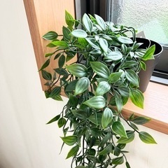 FEJKA フェイカ 人工観葉植物 つり下げ型9 cmの画像