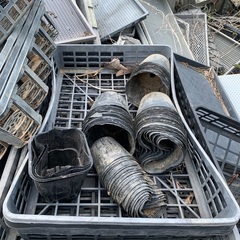 園芸ガーデニングトレーの画像