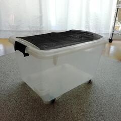 🦎爬虫類用　自家製　🦗コオロギ等のボックス