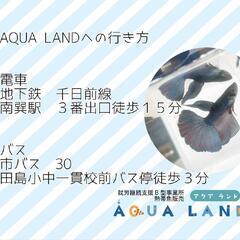 【就労継続支援Ｂ型】AQUA LAND【熱帯魚販売】の画像