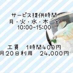 【就労継続支援Ｂ型】AQUA LAND【熱帯魚販売】の画像