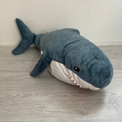 あのサメの画像