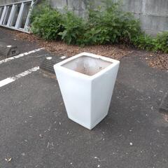 植木鉢、無料です。1