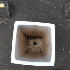 植木鉢、無料です。1の画像