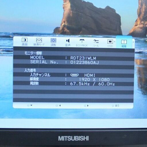  三菱 23インチ 液晶ディスプレイ RDT231WLM-D フルHD 1920×1080 HDMI/DVI-D/D-SUB TNパネ