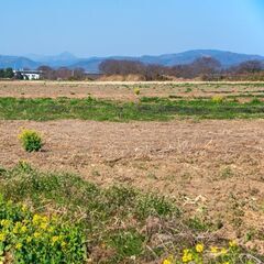 ＜土地募集（農地大歓迎）＞★西条市、新居浜市で特に募集しています...