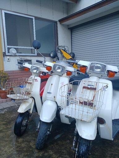 スズキ　蘭　蘭　薔薇　セット！