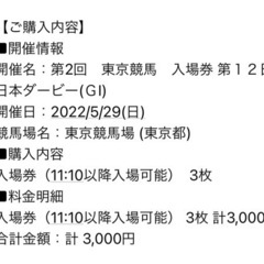 残り1名！日本ダービー現地観戦　競馬初心者大歓迎！