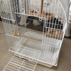 HOEI かわいいアーチ型鳥かご🐤の画像