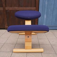 北欧ノルウェーのメーカーRybo(リボ)社のバランスイージー/カバー付き