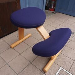 北欧ノルウェーのメーカーRybo(リボ)社のバランスイージー/カバー付き