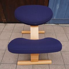 北欧ノルウェーのメーカーRybo(リボ)社のバランスイージー/カバー付き