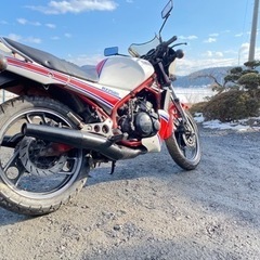 RZ250R 29L 1983 実動　書類付き　直接引き取りのみ　軽トラでの配送も可の画像