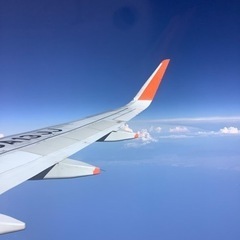 カレイ　川サビキ　