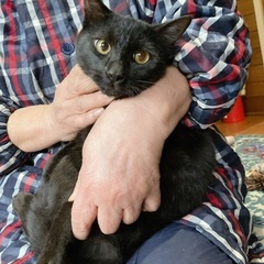 とてもビビリの黒猫くん