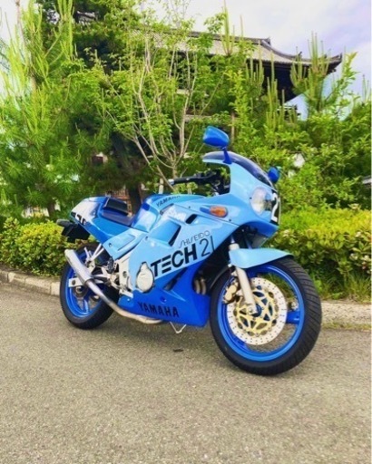 [売れました] FZR250 TEHC21 カラー　ヘッドライトLED