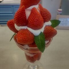 大阪メトロ　めぐりシリーズ仲間募集！ − 大阪府