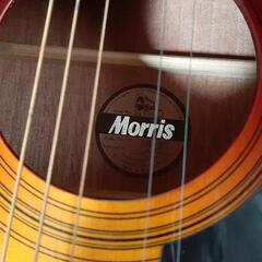 ギター　Morris MD-502　美品の画像