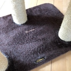 キャットタワーの画像