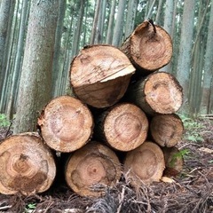 薪販売🪵静岡県伊豆市〜三島市