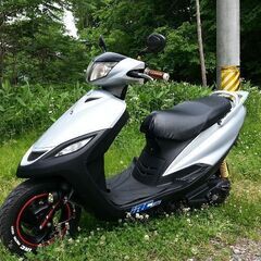 シグナス125 SV プチカスタム 峠 通勤 台湾仕様 スリヌケ