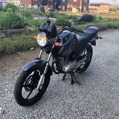 女性でも乗りやすい！ ヤマハ YBR125 低走行で奇麗です。こ...