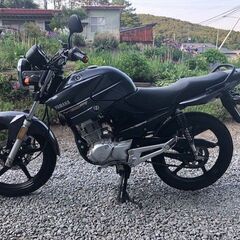 女性でも乗りやすい！ ヤマハ YBR125 低走行で奇麗です。これからのシーズンにの画像