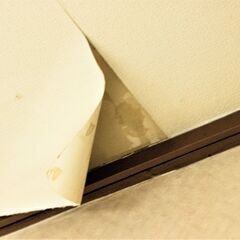 火災保険で壁紙の破れやクロスの傷は補償されるって知ってました？