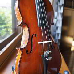 【選定分類：I-⑧モダン・マスターメード・仏蘭西】Violin Early20thCentury By Jean LARCHER1929●国内修復・セッティング・調整未済●試奏可の画像