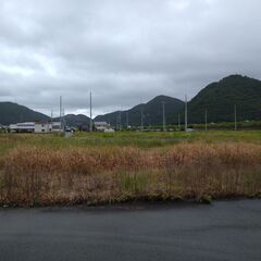 植栽剪定草刈など