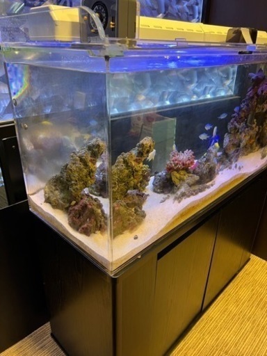 熱帯魚用水槽一式（ライブロックは含みますが、熱帯魚は含みません）