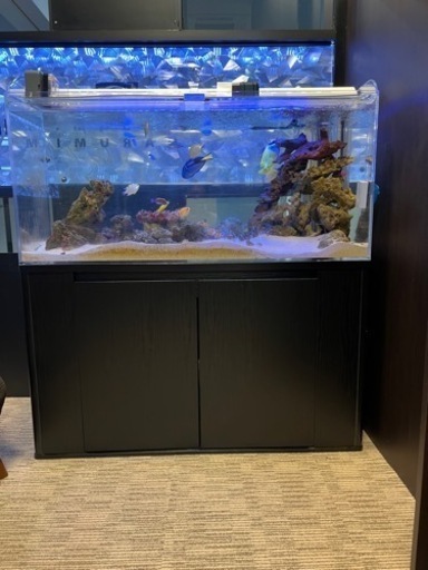 熱帯魚用水槽一式（ライブロックは含みますが、熱帯魚は含みません）