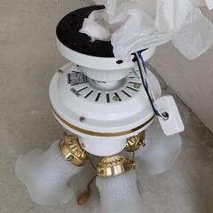 シーリングファン SLF-4　羽根つき　照明の画像