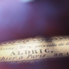 【選定分類：II-⑨オールド・ファクトリーメード・仏蘭西】Violin Mid19thCentury Ascribed to ALDRIC,1842鳥目杢●国内修復・セッティング・調整未済●試奏可の画像