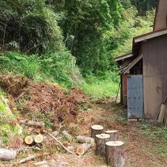 【柏崎東条】✨戸建て賃貸！自然豊か田舎暮らしペット可！ - 不動産