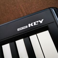 KORG micro KEY 37 （ジャンク）の画像