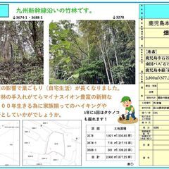 鹿児島市石谷町　売地　877.25坪　山林　100万円