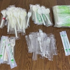 【大量】プラスチックスプーン 先割れスプーン フォーク  スプーン　使い捨て キャンプ アウトドアの画像