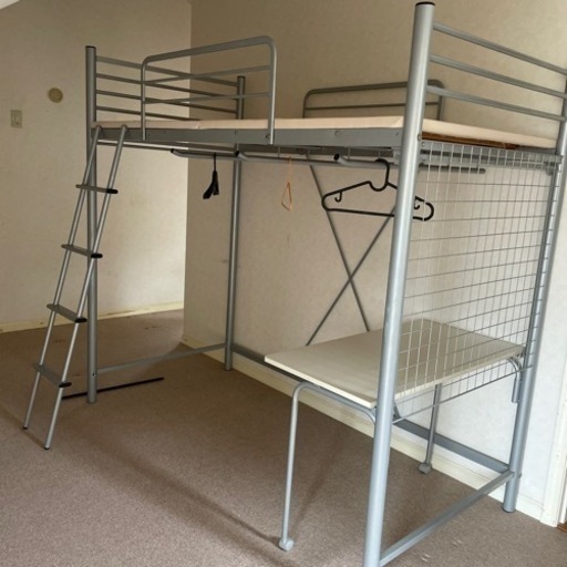 パイプベット【お譲り先が決定しました】