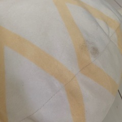 ぬいぐるみの画像