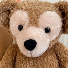 ダッフィーグッズの購入について