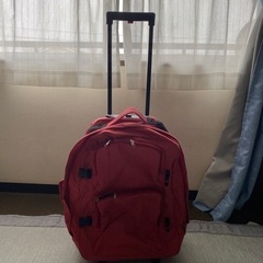 旅行用キャスター付ビニールバック(決まりました)