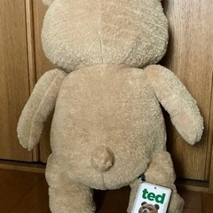 テッドの画像